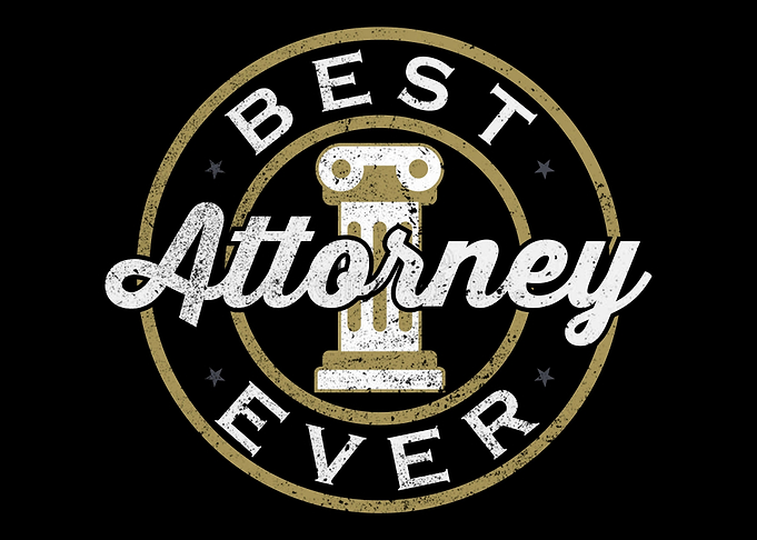 Lawyer Law School Student