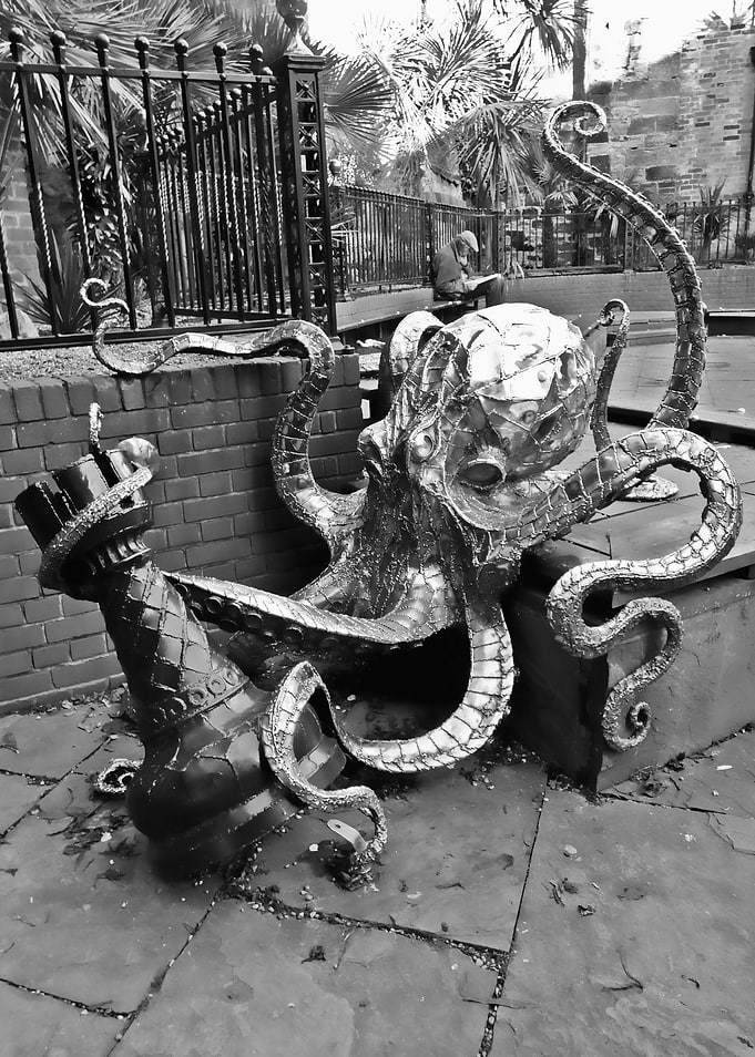 Old Town Octopus