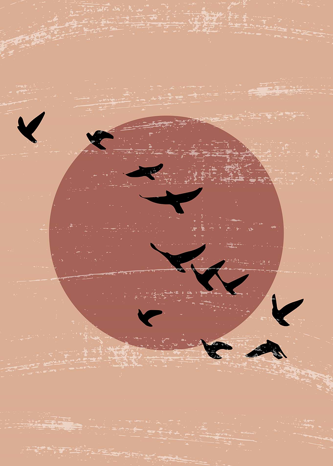 Sun Birds Flying in theSky