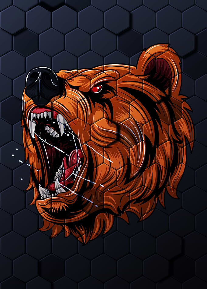 Bear Grizzly