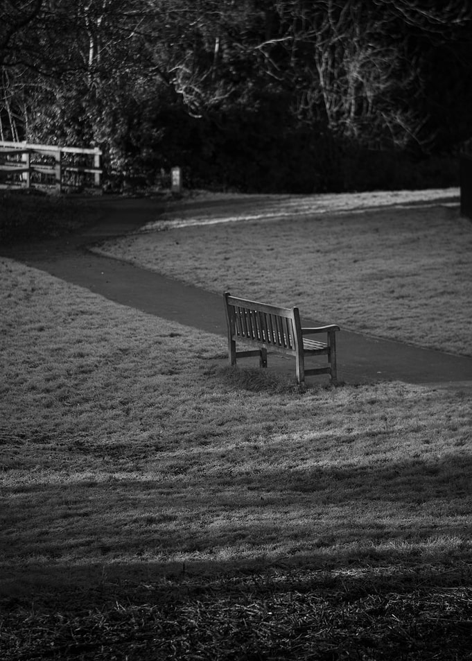 Lone Bench