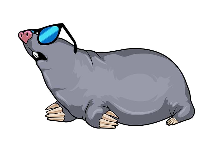 Mole Sunglasses