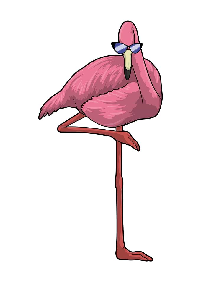 Flamingo Sunglasses