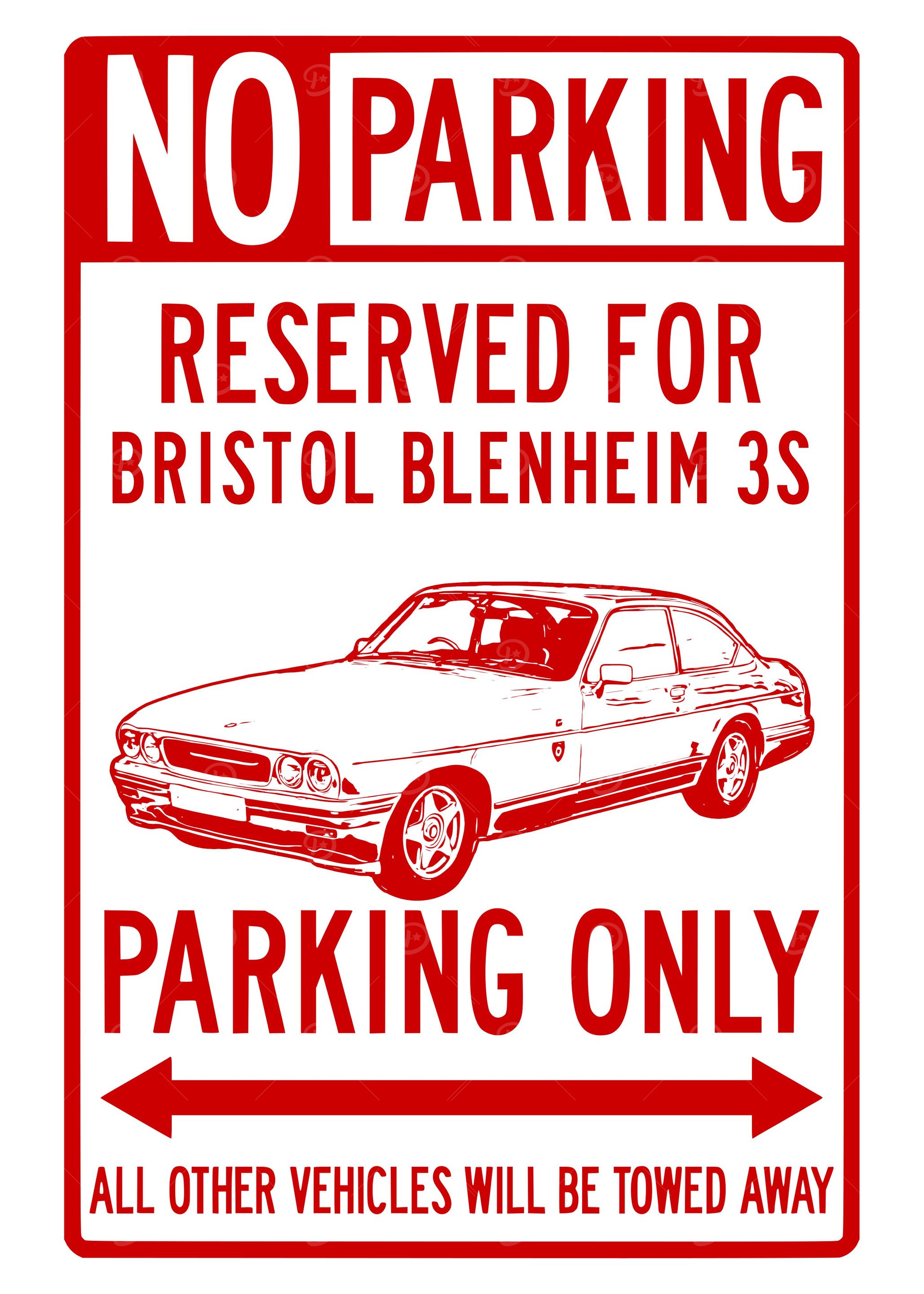 Bristol Blenheim 3S park