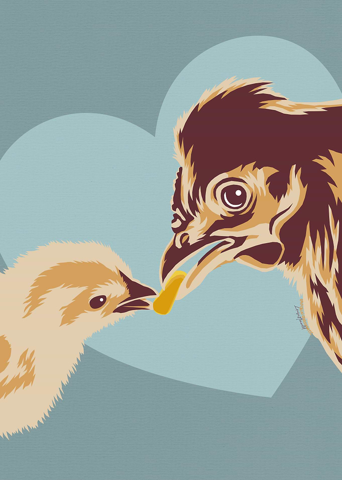 Chicken love