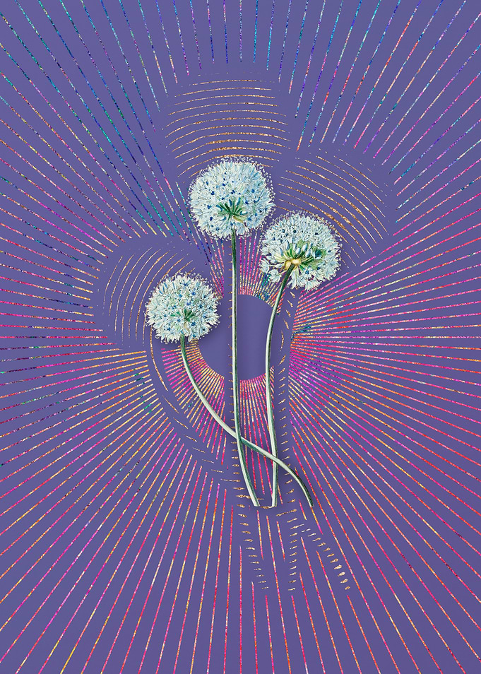 Blue Leek Flower Branch