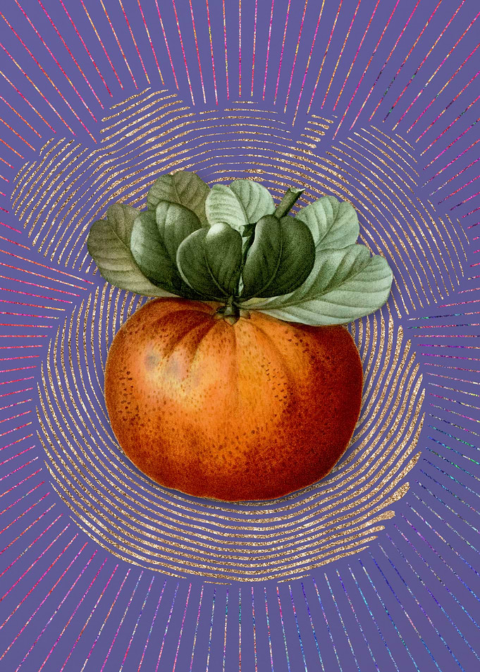 Bigarade Orange Violet
