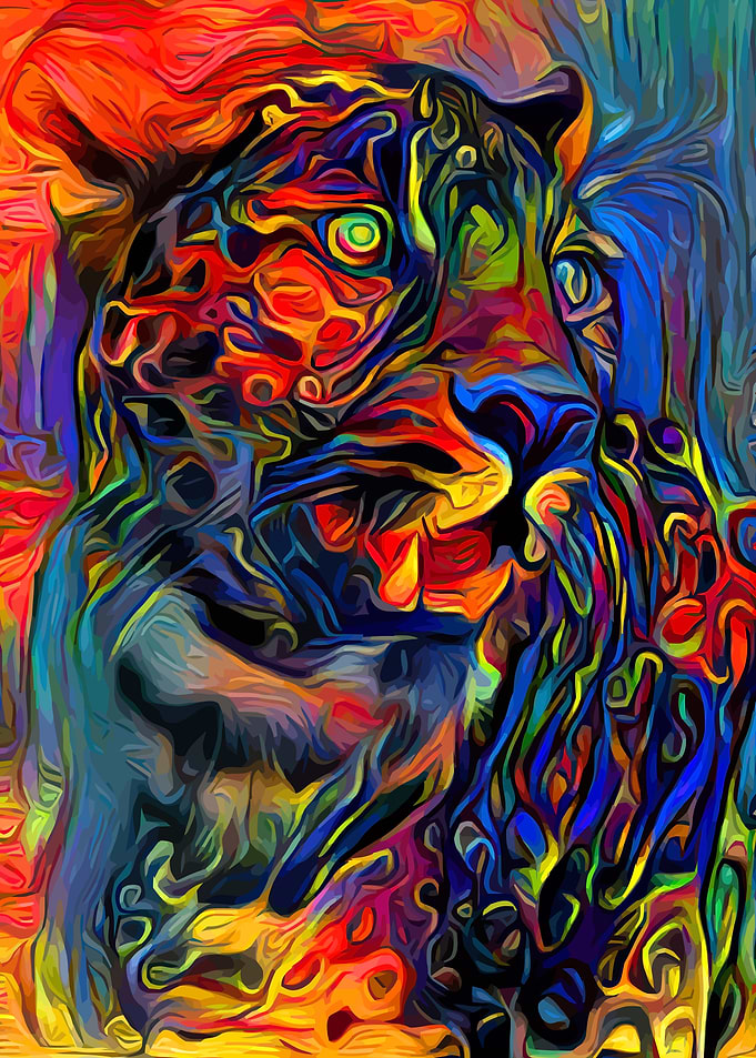 Leopard Colorful Africa