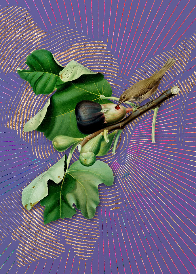 Fig Branch With Bird