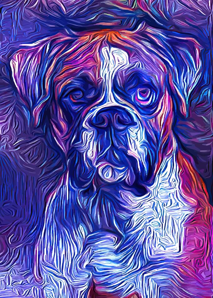 Boxer Dog Fairy Art