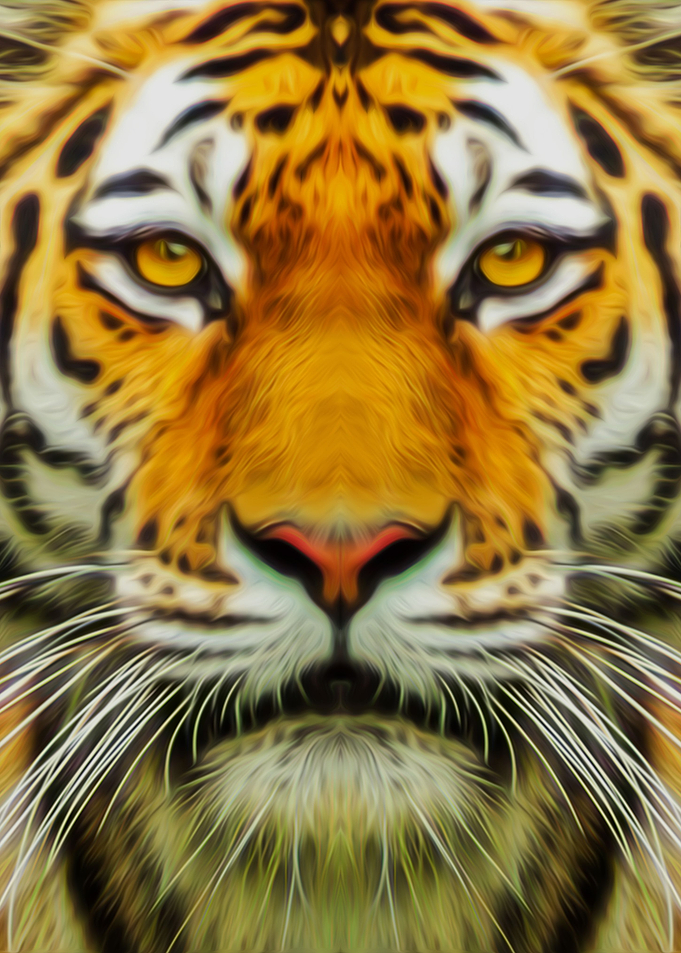 The Tiger