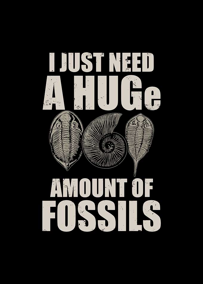Fossil Hunting Gift Ideas