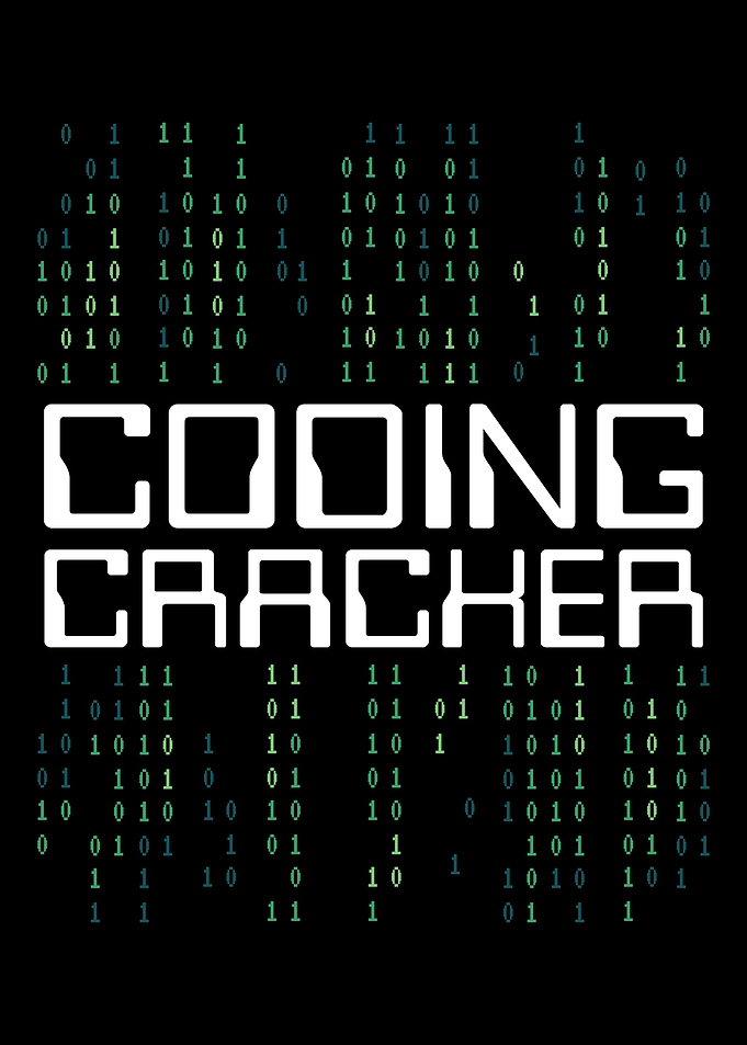 Programmer Software