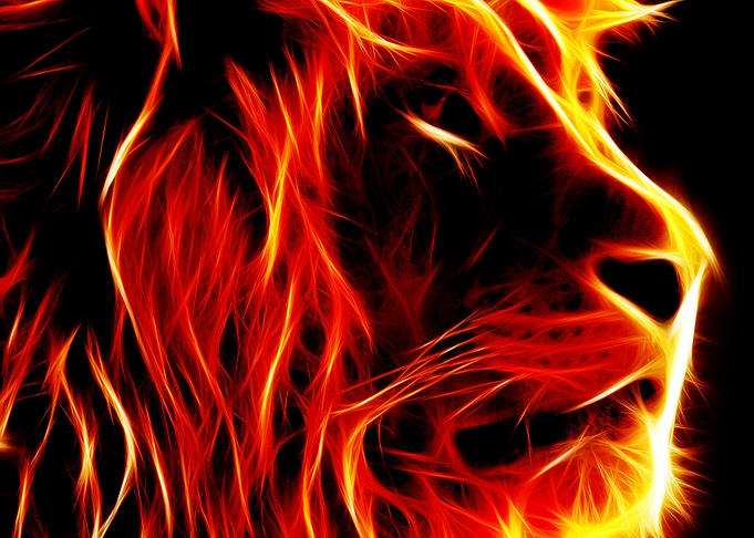 Fire Lion