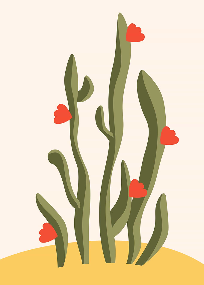 Cactus Succulent flower