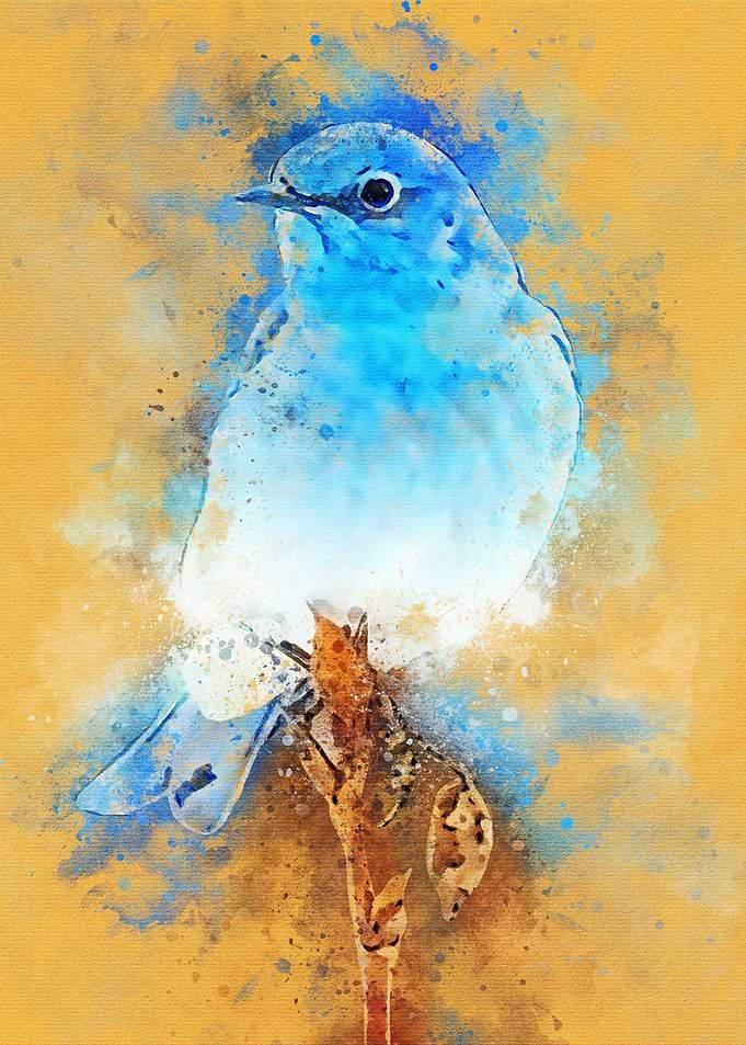 Birds Watercolor