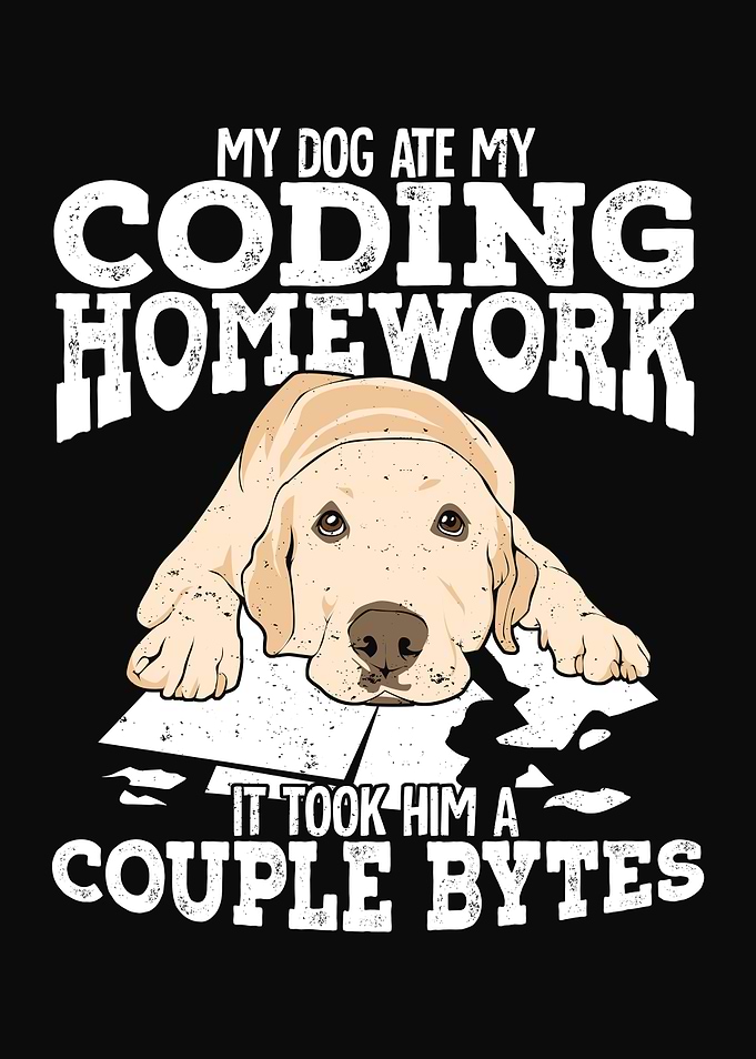 Computer Science Student