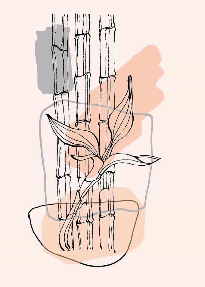 Bamboo