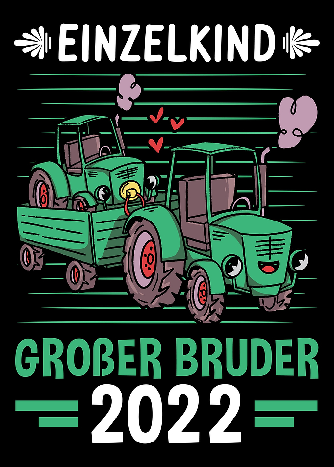 Einzelkind Groer Bruder 2