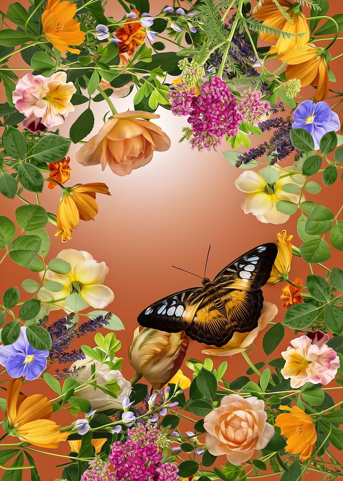 Butterfly Garden