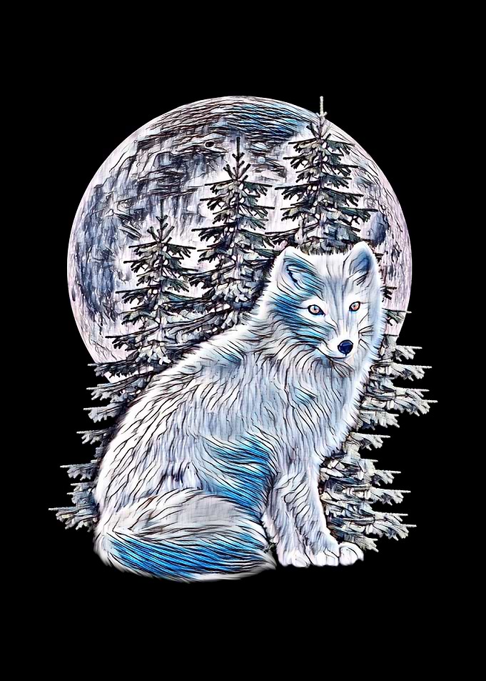 Arctic Fox