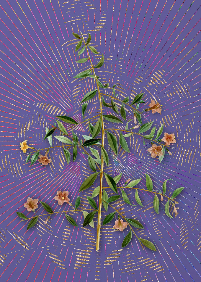 Goji Berry Branch 2