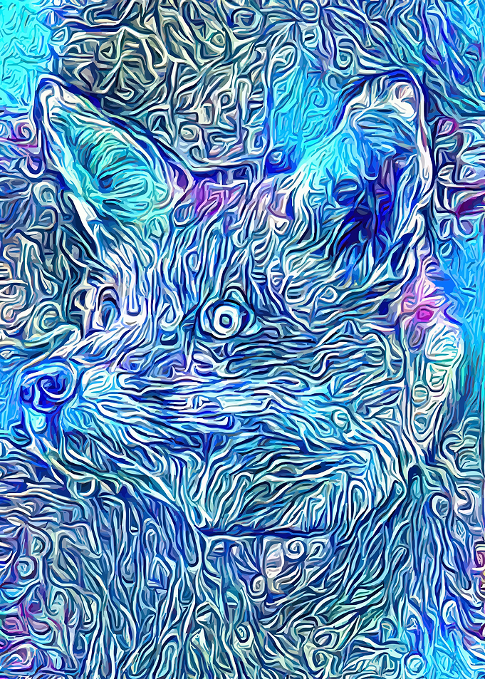 Fox in Fairy Winter Forest