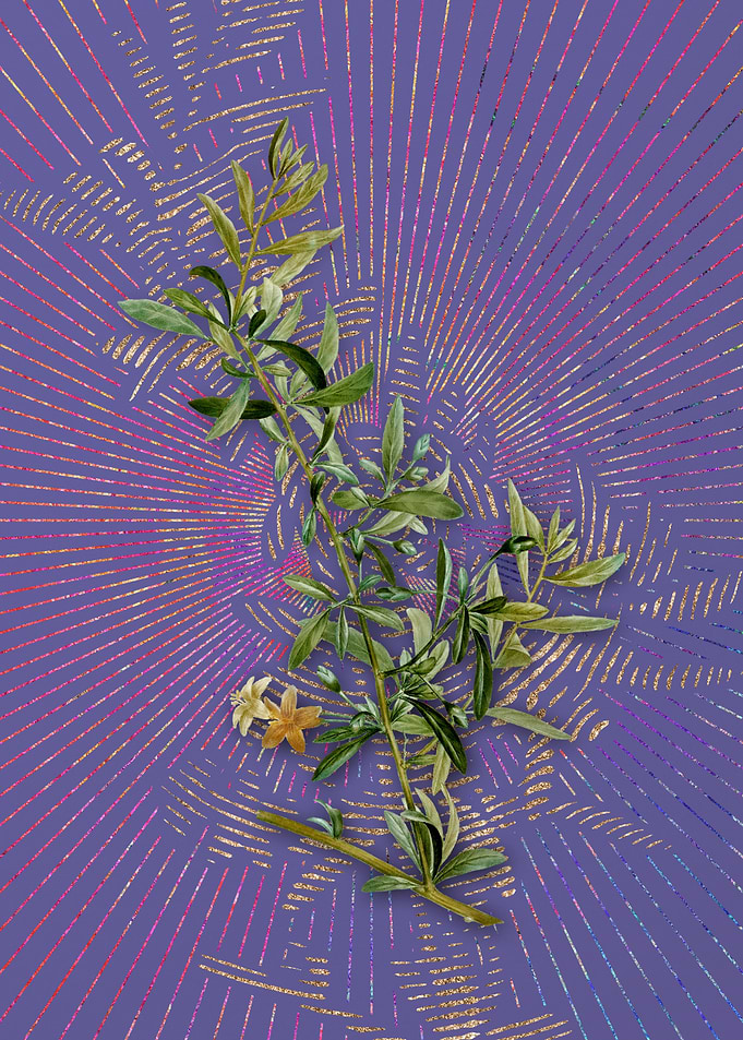 Goji Berry Branch