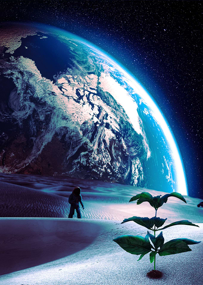 Life on the Moon