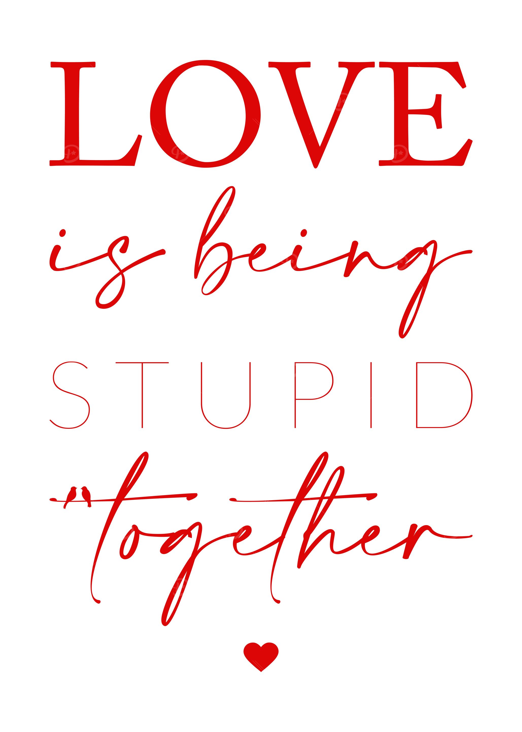 Love Stupid Together