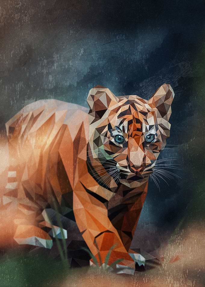 Low Poly Baby Tiger