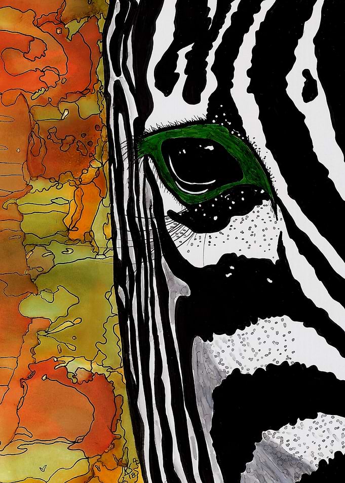 Zebra Eye