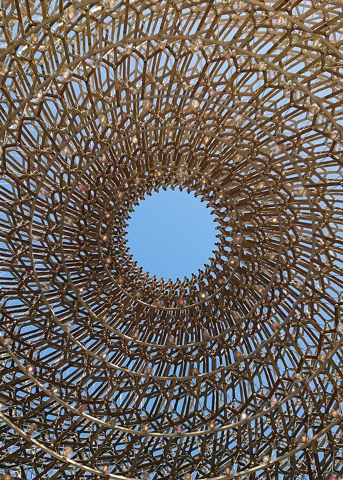 The Hive