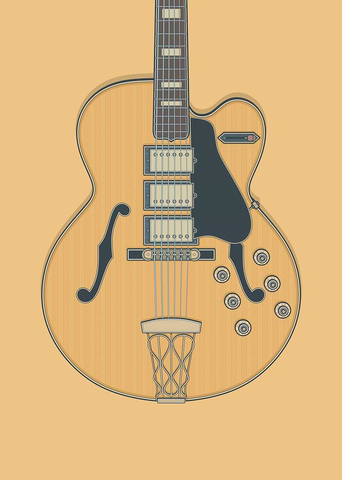 The Switch Master Guitar