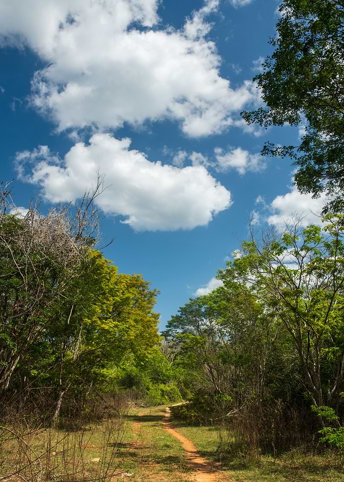Mexican Sky