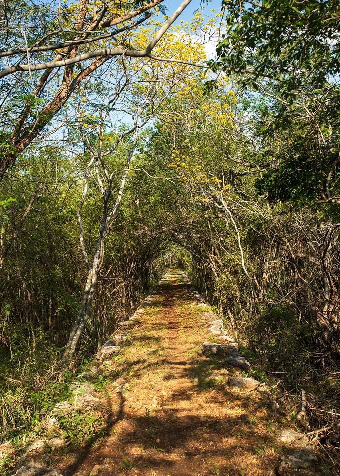 Abandoned railway