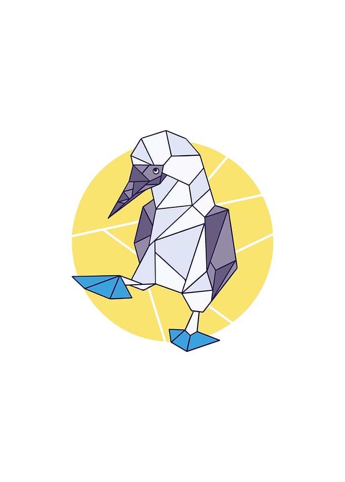 Polygonal Bluefooted