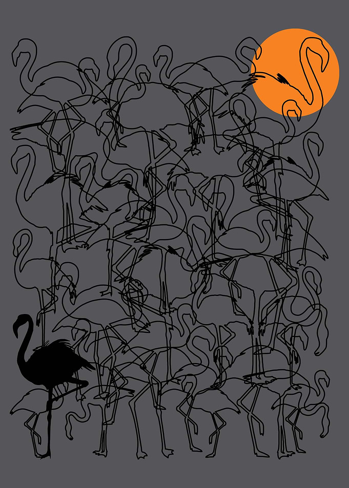 Flamingos