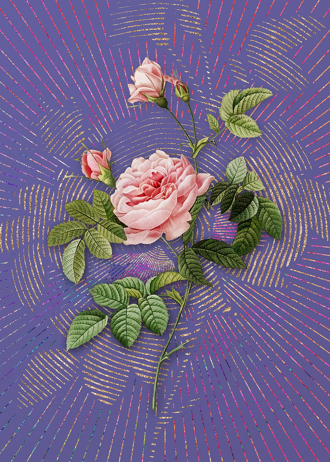 Pink Rose Turbine
