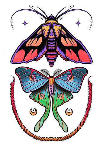 Cosmic Moths