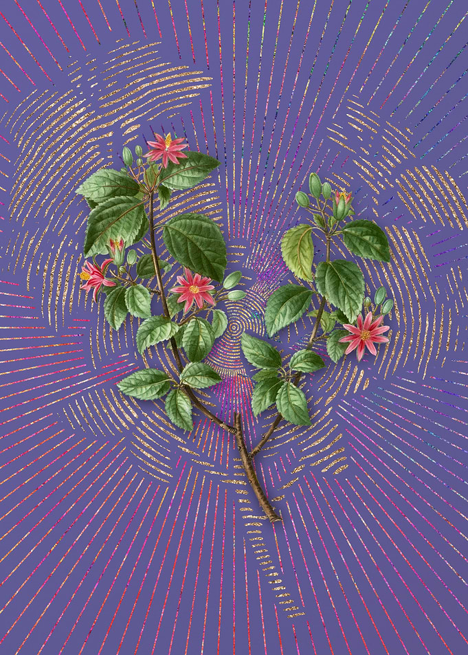 Purple Vintage Crossberry