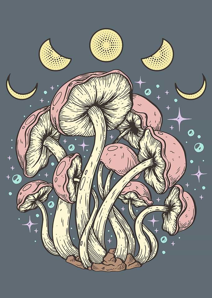 Cottagecore Mushroom Moon