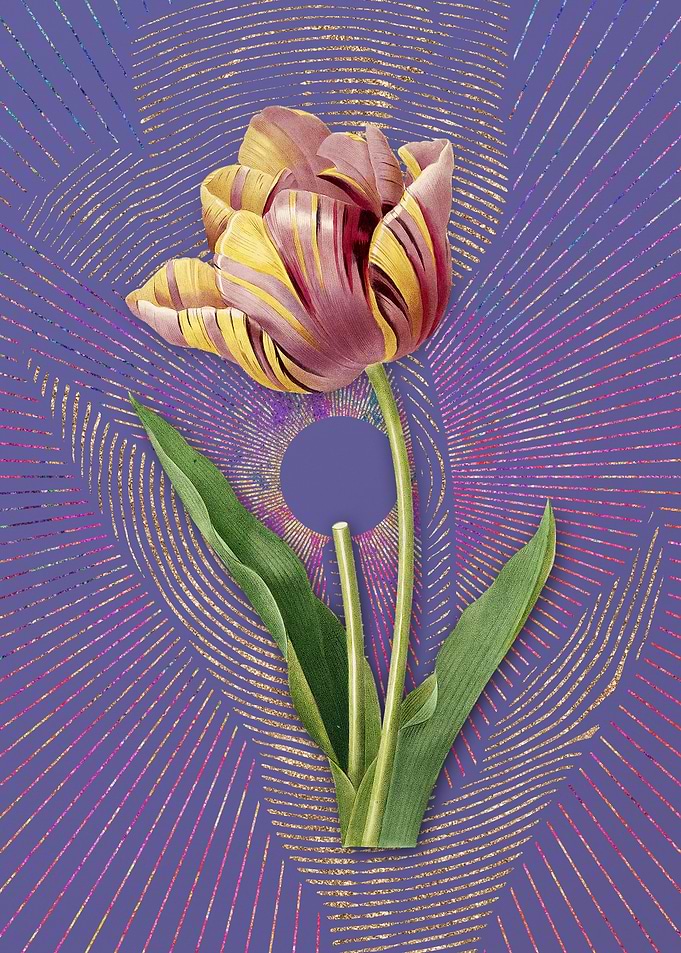 Purple Vintage Tulip Art