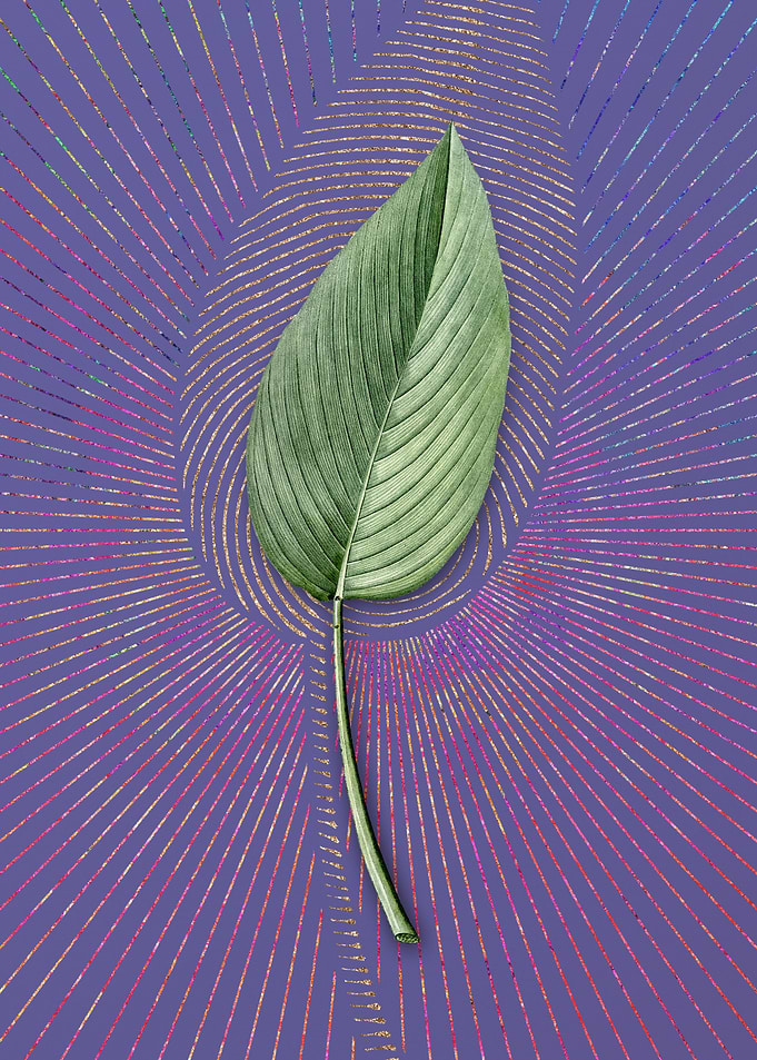 Powdery Alligator Flag 1