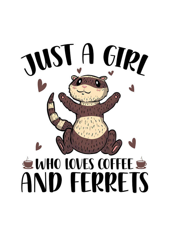 Ferret Lover Pet Gift Idea