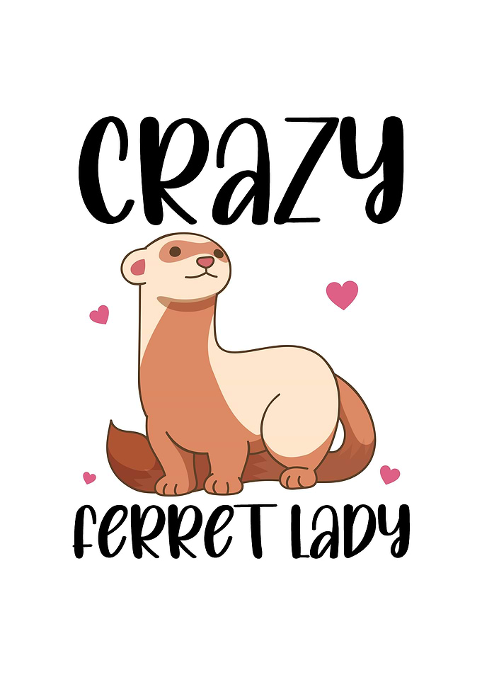 Crazy Ferret Lady Gifts