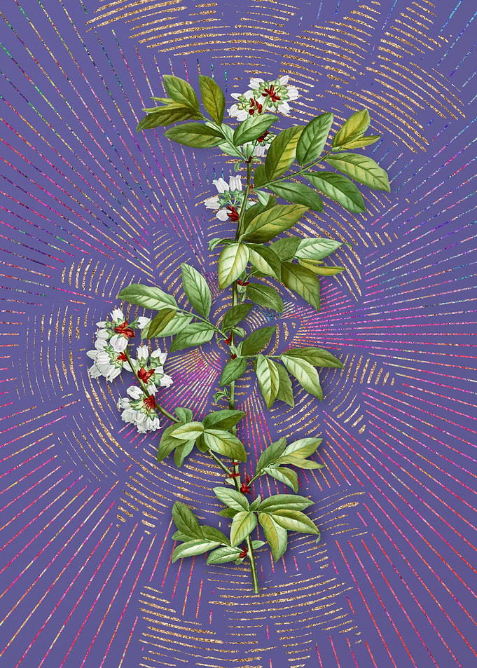 Rabbit Eye Blueberry Art