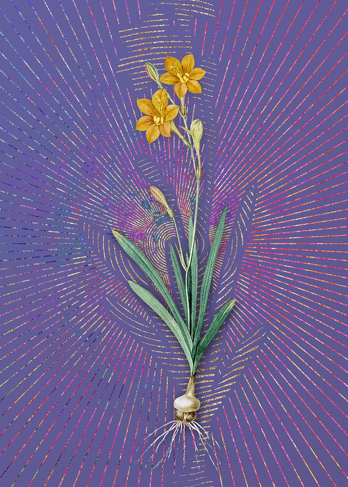 Purple Vintage Coppertips