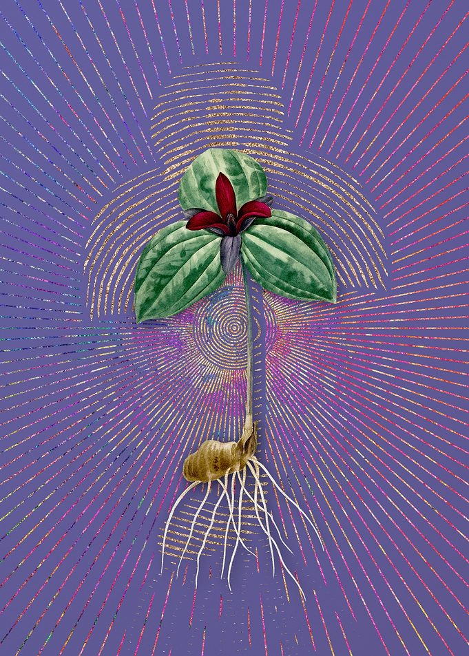 Purple Vintage Tri Flower