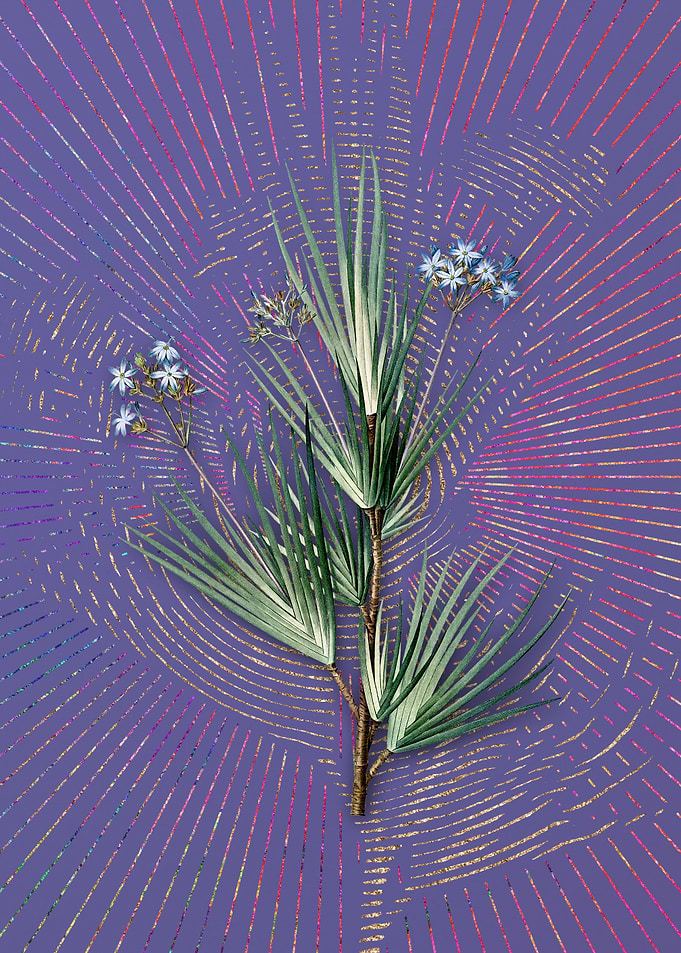 Purple Vintage Blue Stars
